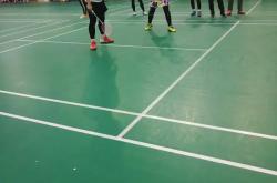 华体会体育赛事直播-印度羽毛球队完胜印尼羽毛球队，马琳完成帽子戏法的简单介绍