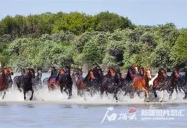 括尔盼驰骋，巴提斯本贯法令